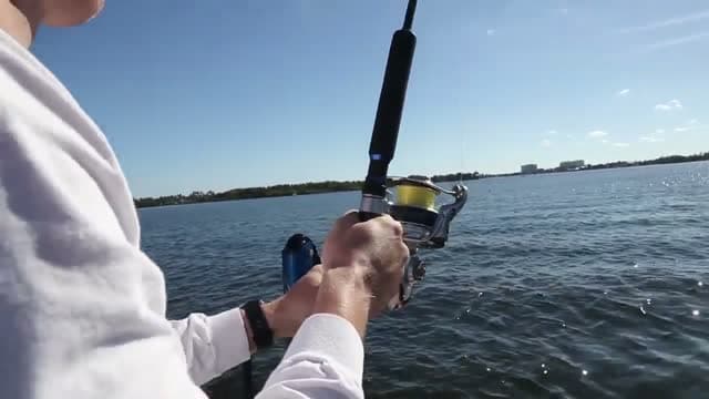 30A Darcizzle Offshore