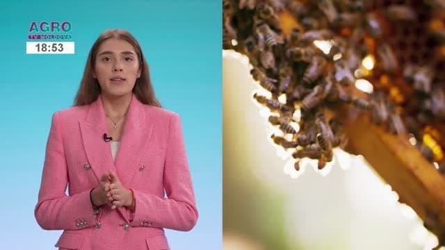 Agro TV Moldova