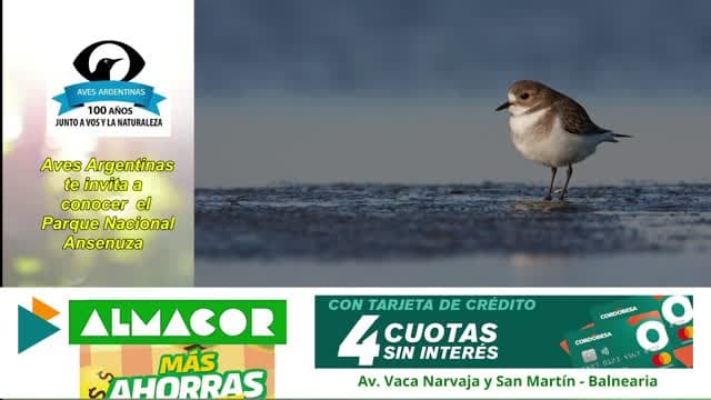 Canal 99 Miramar