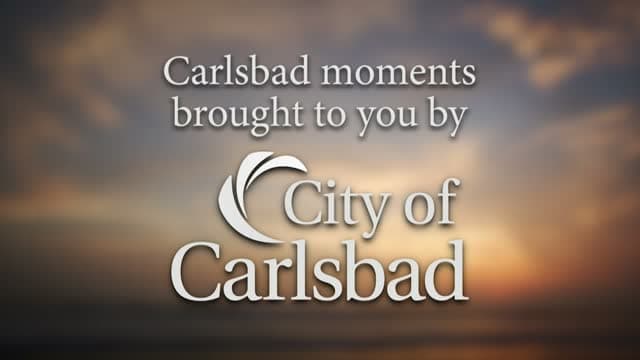 City TV Carlsbad