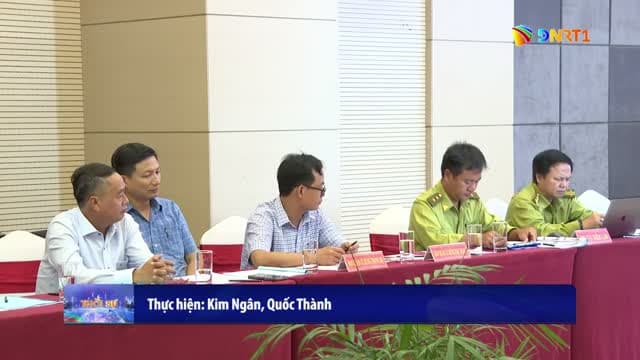 Da Nang TV 1