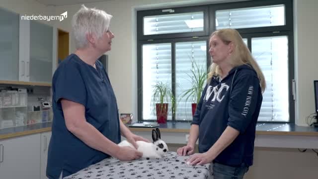 Niederbayern TV Deggendorf & Straubing