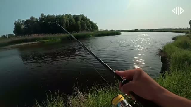 Rybalka