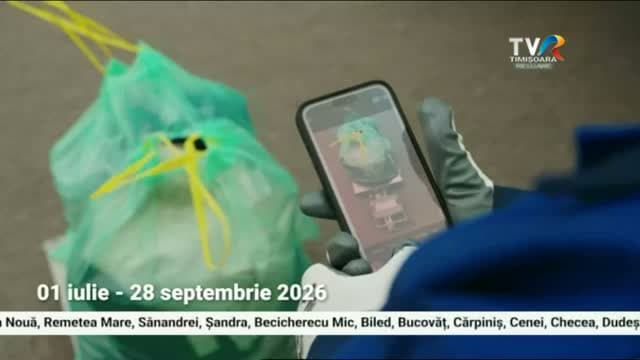 TVR Timisoara