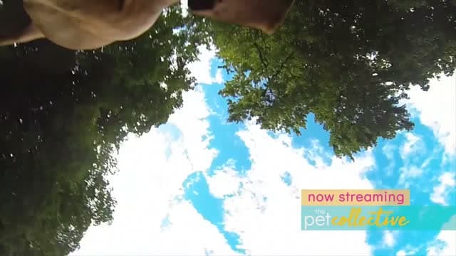 FailArmy